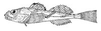 379159.jpg