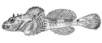 379157.jpg