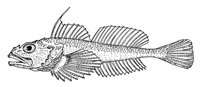 379151.jpg