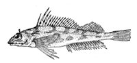 379147.jpg