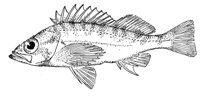 379121.jpg
