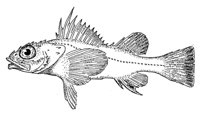 379083.jpg