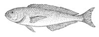 379077.jpg