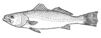 379073.jpg