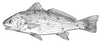 379067.jpg