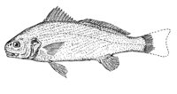 379061.jpg