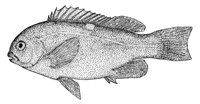 379055.jpg