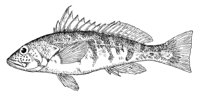 379047.jpg