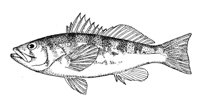 379045.jpg