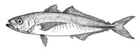 379033.jpg