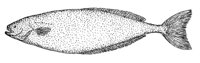 379031.jpg