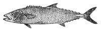 379003.jpg