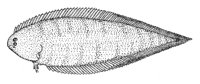 378951.jpg