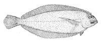 378947.jpg