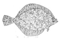 378941.jpg