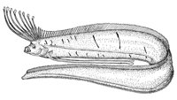 378909.jpg
