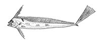 378907.jpg