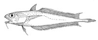 378901.jpg