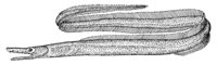 378861.jpg