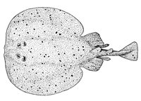 378807.jpg