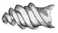 378747.jpg