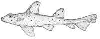 378745.jpg