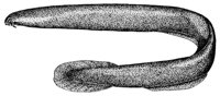378739.jpg