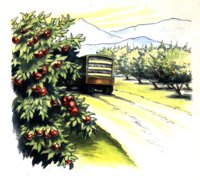 372003.jpg