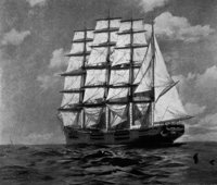 355175.jpg