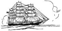 355137.jpg