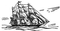 355131.jpg