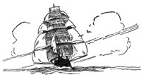 355099.jpg