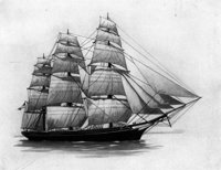 355059.jpg