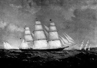 355057.jpg