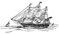 355019.jpg