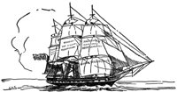 355007.jpg