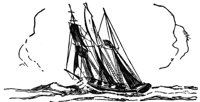 354981.jpg