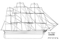 354955.jpg