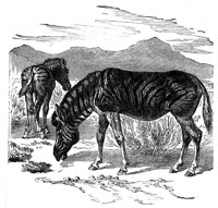 27408.jpg