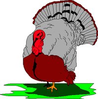 TURKYTOM.WMF