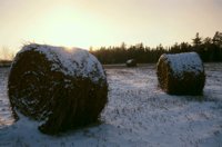001207_0587_0058_nsls.jpg