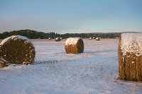 001207_0587_0057_nsls.jpg