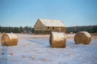 001207_0587_0055_nsls.jpg