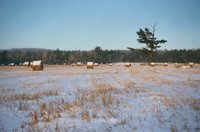 001207_0587_0054_nsls.jpg