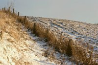 001207_0587_0051_nsls.jpg