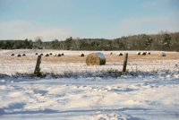 001207_0587_0041_nsls.jpg