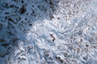 001207_0587_0026_nsls.jpg