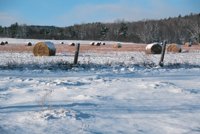 001207_0587_0020_nsls.jpg