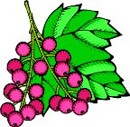 G0137108.wmf