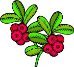 G0137165.wmf